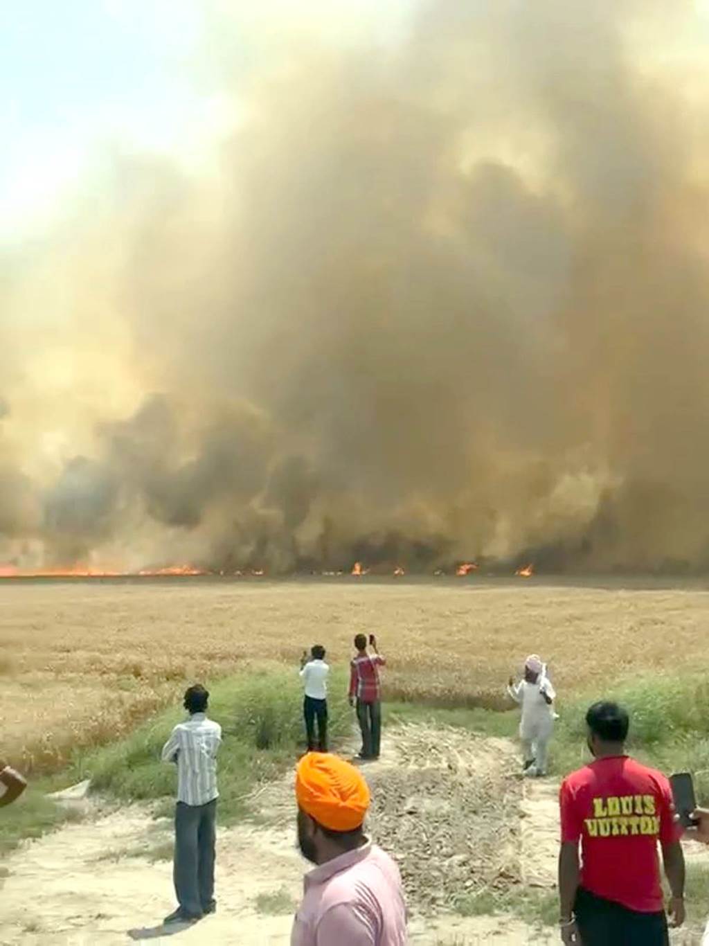 Wheat crop spread over about 250 acres in Muktsar and Fazilka villages burnt to ashes